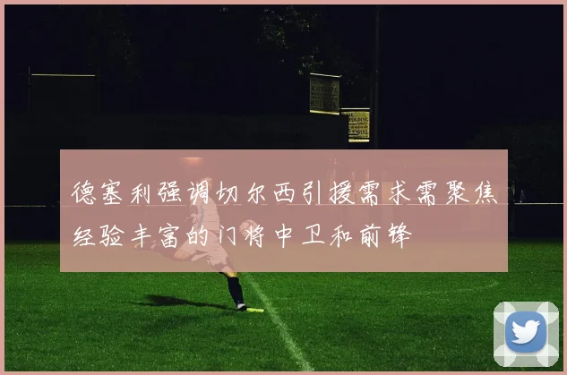 德塞利强调切尔西引援需求需聚焦经验丰富的门将中卫和前锋