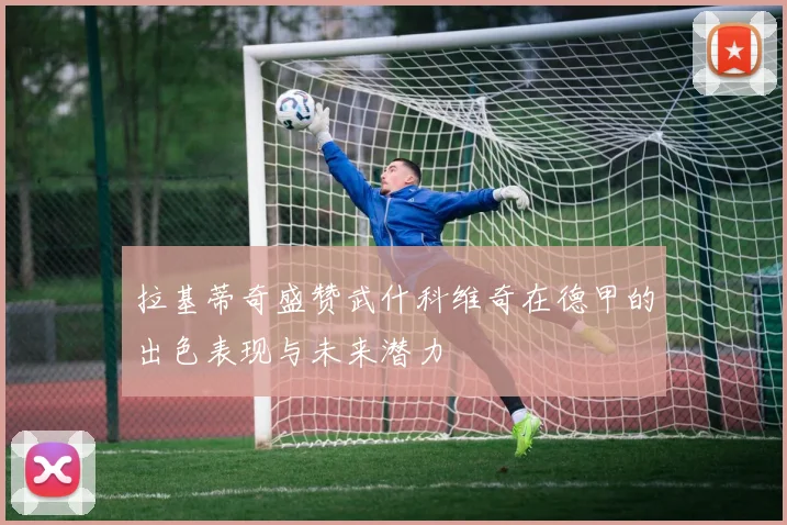 拉基蒂奇盛赞武什科维奇在德甲的出色表现与未来潜力