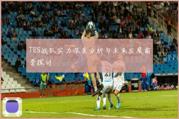 TES战队实力深度分析与未来发展前景探讨